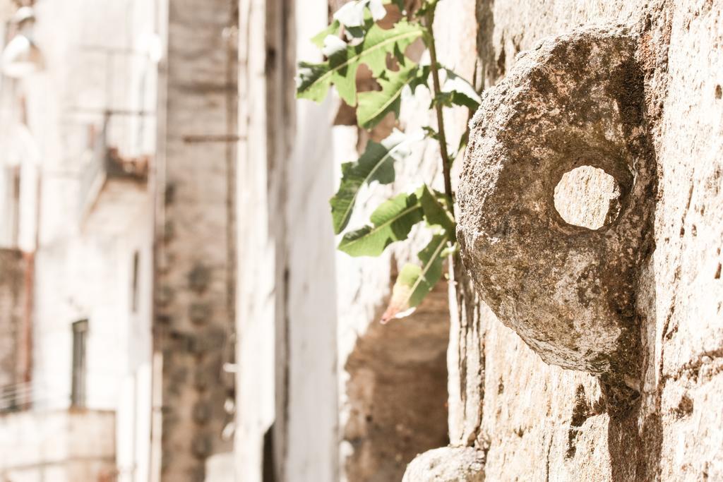A Casa Di Rosa Villa Matera Cameră foto
